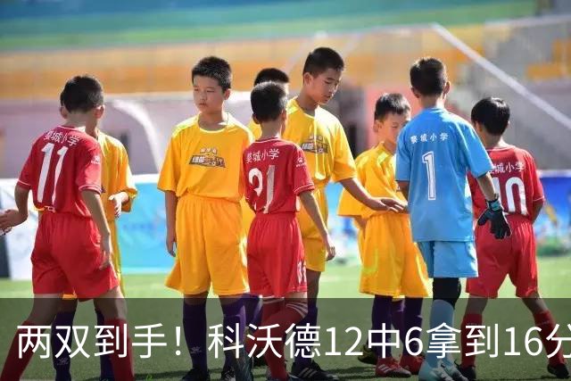 两双到手！科沃德12中6拿到16分11板 三分4中4