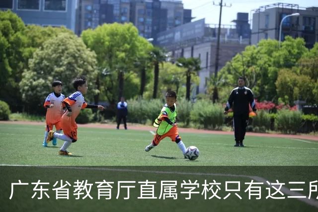 广东省教育厅直属学校只有这三所，华附省实都在里面，你家孩子有机会考进去吗？