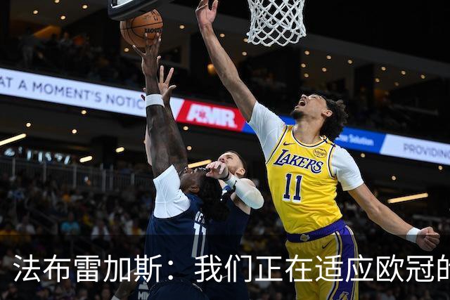 法布雷加斯：我们正在适应欧冠的节奏，这并不容易
