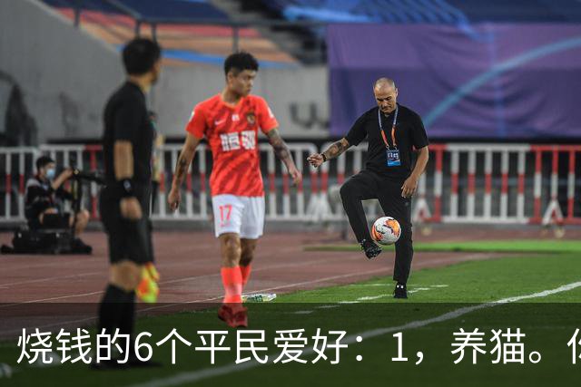 烧钱的6个平民爱好：1，养猫。你以为养的是猫…
