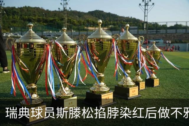 瑞典球员斯滕松掐脖染红后做不雅动作，或遭追加停赛