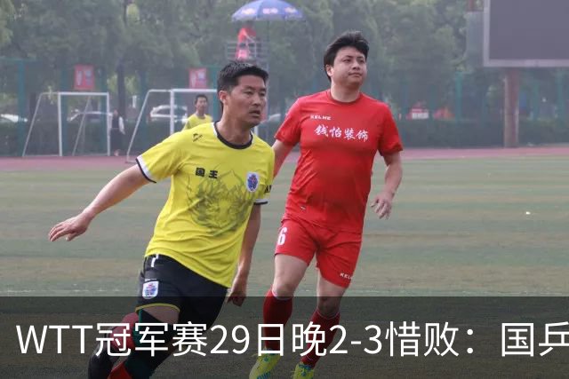 WTT冠军赛29日晚2-3惜败：国乒第2败！首输外战，国乒3人进男单16强